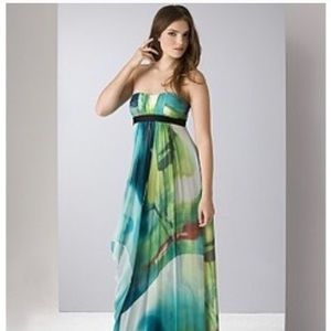 BCBG Max Azria Vintage Watercolor Evening Gown
